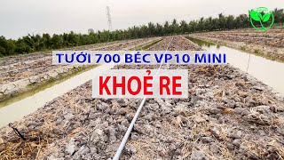 VỀ VĨNH LONG LẮP ĐẶT HỆ THỐNG TƯỚI CHO CÂY MÍT DÙNG BÉC VP10 SIÊU BỀN | VNPLANT