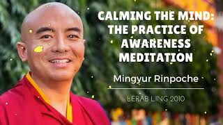 A Guided Meditation on the Body, Space, and Awareness with Yongey Mingyur Rinpoche