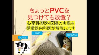 ちょっとPVCを見つけても放置？(心室性期外収縮の実際を循環器内科医が解説します)