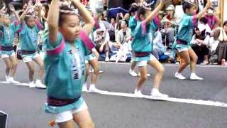 高円寺阿波踊り2011/8/27#11