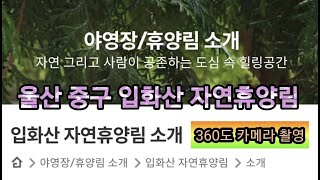 360도 촬영ㅣ입화산 자연휴양림ㅣ데크 정보ㅣ소나무야영장ㅣ참나무야영장ㅣ울산시 중구 야영장Golf⛳with♥️camping🏕