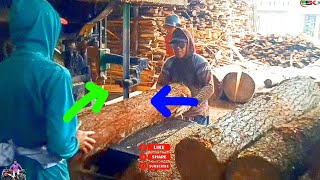 saw mill kath catting proses saw mill kath keise kattehe full proses sskcd comnapy wood catting