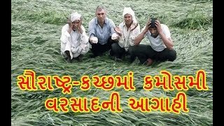 Saurashtra-Kutchમાં કમોસમી Rainfallની Weather Deptની આગાહી, Cold Waveની અસર પણ સર્જાઈ શકે | Vtv News