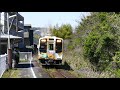 天竜浜名湖鉄道・東都筑駅 桜とフルラッピング列車