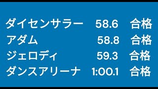 2023年5月20日 第３回水沢競馬 能力検査 水沢２Ｒ