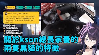 【Kson総長/Kson總長】關於總長家養的兩隻黑貓的特徵、分別(不只麒麟尾)