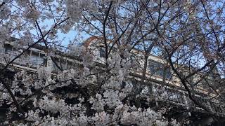 【ふくとしんせん】東京メトロ副都心線 10000系@東急東横線 中目黒駅