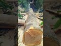 amazing chainsawman skills