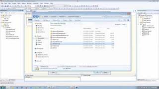 Using Parameters in SQL Server Reporting Services (SSRS)