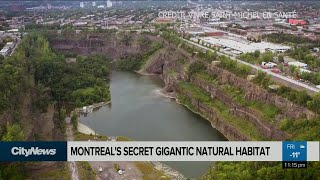 Montreal’s secret gigantic natural habitat