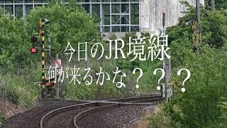 はたらくのりもの「今日のJR境線！何が来るかな？？？」