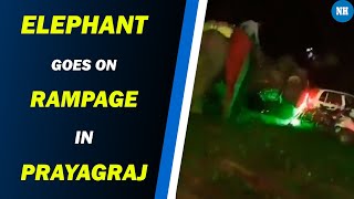 Irked over noise at wedding, elephant goes on rampage in Prayagraj