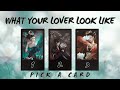 What Your Next Partner Will Look Like PICK A CARD Tarot Reading