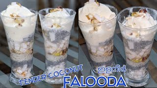 Tender Coconut Falooda-182