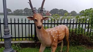 জলপাইগুড়ি  রাজবাড়ী  উদ্যান /Jalpaiguri rajbari park