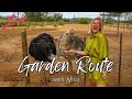 DISCOVERING the BEST THINGS to do on the GARDEN ROUTE, The ultimate ROADTRIP travel vlog 4K.