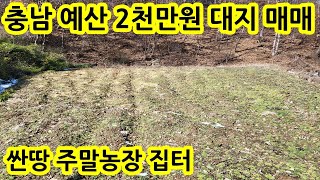 2천만원 대지 산밑 조용한곳 2천만원 국유지 도로접 싼땅 전원주택지 주말농장 농터 농막 세컨하우스 부지 농지 충남 예산군 대흥면 땅 토지 매물 매매