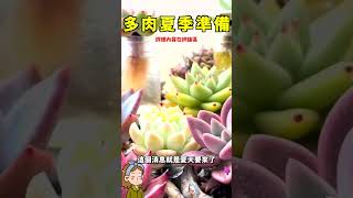 多肉度夏準備好6件事，度夏輕鬆多肉不死#多肉植物 #多肉 #花花世界 #shorts