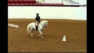 HARAS DOS CAVALEIROS IALHA NATIONAL CHAMPIONSHIP 2011