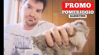 PROMO POMERIGGIO ALBERTINO - LUNEDÌ ORE 17:00