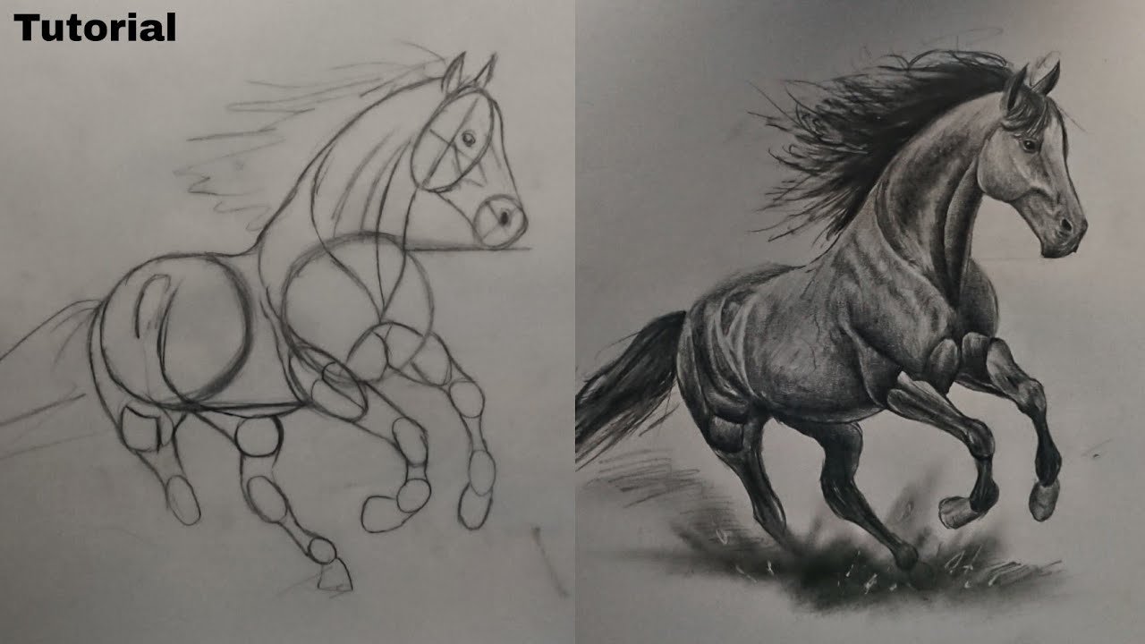 How To Draw A Horse Video Tutorial