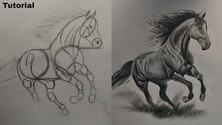 how to draw a horse (basic tutorial)
