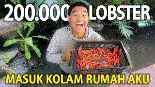 MASUKIN 200.000 LOBSTER MERAH DAN PUTIH KE KOLAM AKU! APAKAH MEREKA SEMUA BISA BERTAHAN?!