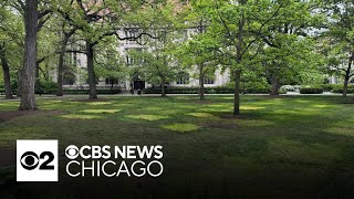 Encampment cleared at University of Chicago