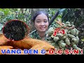 ĐI LẤY HẠT DỔI & SĂN CON ĐẶC SẢN TRONG RỪNG SÂU !