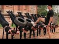 Amazing Strong Women Army/ Super Hard Training