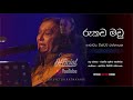 rookada madu yaga pole රූකඩ මඩු යාග පොලේ dr victor ratnayake