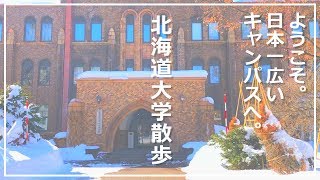 【大学紹介】その広さ日本一。北海道大学を散歩する / Japanese Largest University in Hokkaido.【北大】