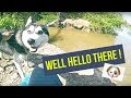 Random HUSKY visits anglers in Malaysia!