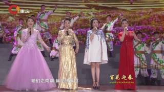 Nanniwan 《南泥湾》 金婷婷, 刘一祯, 吴彦凝, 郭芳芳 【1080HD】