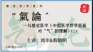 “气论” 与感觉医学——中国医学哲学层面对“气”的理解 （二）刘丰、程晓明