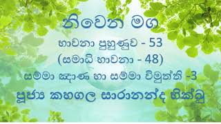 53 භාවනා පුහුණුව 53 සමාධි භාවනා 48 (සම්මා ඤාණ හා සම්මා විමුත්ති 3)  2022. 03. 18