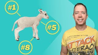 STOP Writing Scenes Until You Know the LAMB Method!
