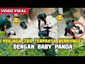 PENJAGA ZOO TERPAKSA BERKVNGFU DENGAN BABY PANDA, BEREBUT TONG SAMPAH