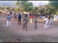 volleyball match dehri qasim 2