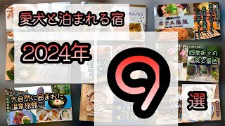 【愛犬と泊まれる宿九州】2024年愛犬と泊まれる宿9選🐕in九州！