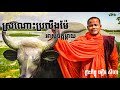 ស្រណោះប្រលឹងម៉ែអាសូចិត្តម្ដាយ