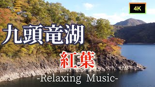 【福井県の空撮絶景】癒しBGM 🍁九頭竜湖の紅葉スポット巡り🍁【高画質設定でご覧ください】