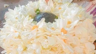 1001 कमल के फूल से रुद्राभिषेक||mahakal