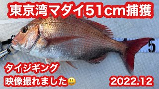 東京湾　マダイ釣り　タイ釣りはタイラバなのか❓ジギングなのか❓今回は手巻き❗️51cm良型捕獲