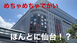 6月２日にでっかくオープン！！ヨドバシカメラマルチメディア仙台に早速行ってみた　　　　　　　　　#宮城県仙台#ヨドバシカメラ#オープン#話題#東北#最大級#移転