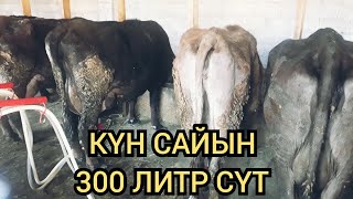 3 уйга тийбесе 40 уй болот экен