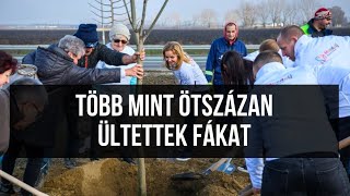 Több mint ötszázan gyűltek össze közösségi faültetésre Debrecenben