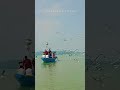 chilikalek Odisha 🇮🇳//#chilikalake #odisha #shorts #viral