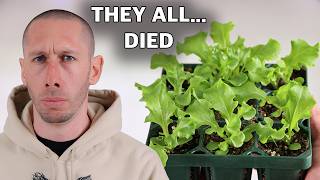 7 Reasons All My Seedlings Died...