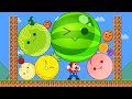 Mario vs The Watermelon Game (SUIKA) | Mario Go INSANE with Fruit Evolution Maze!